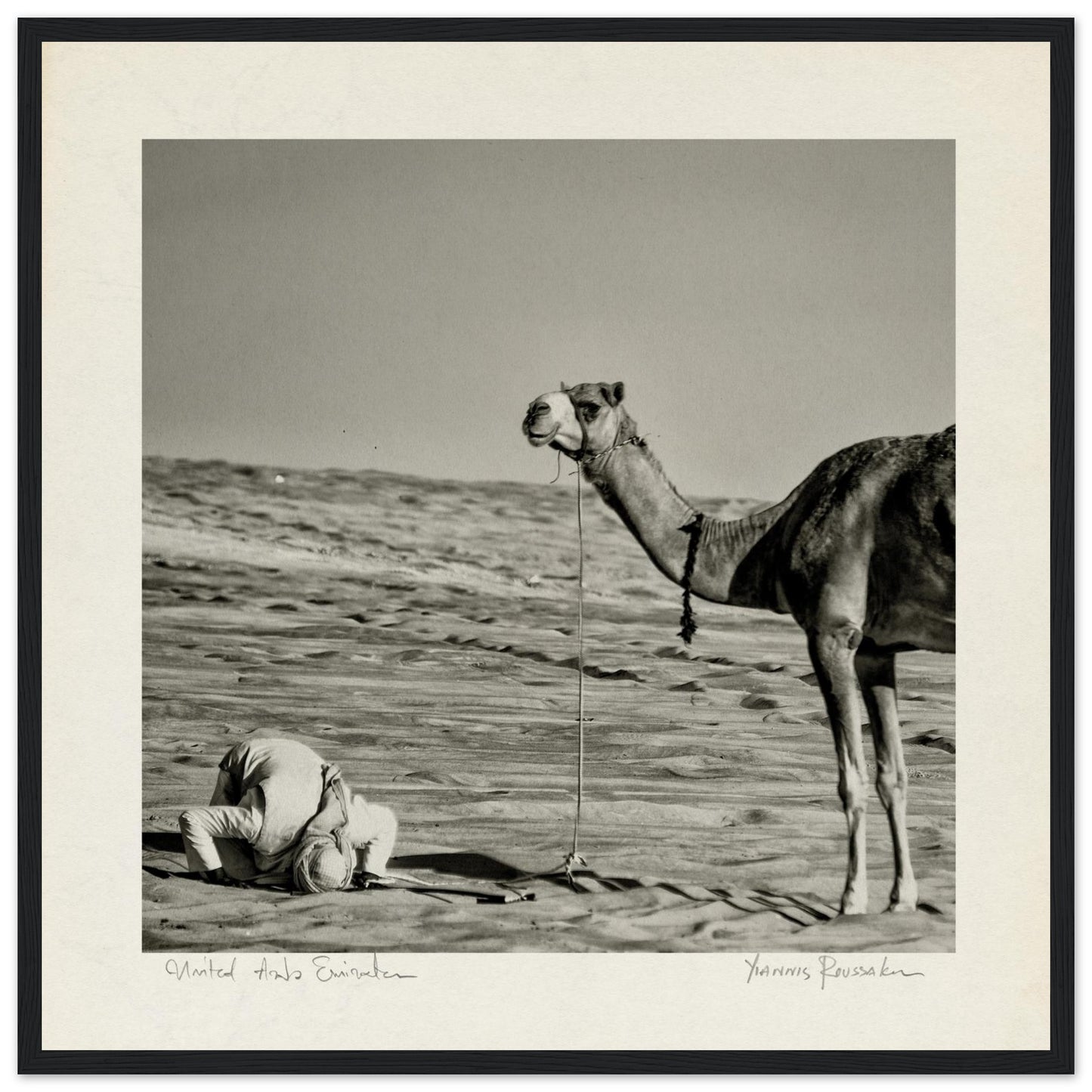 33fc072e-3374-40d2-8120-c90b6c27c13b