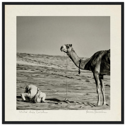 33fc072e-3374-40d2-8120-c90b6c27c13b