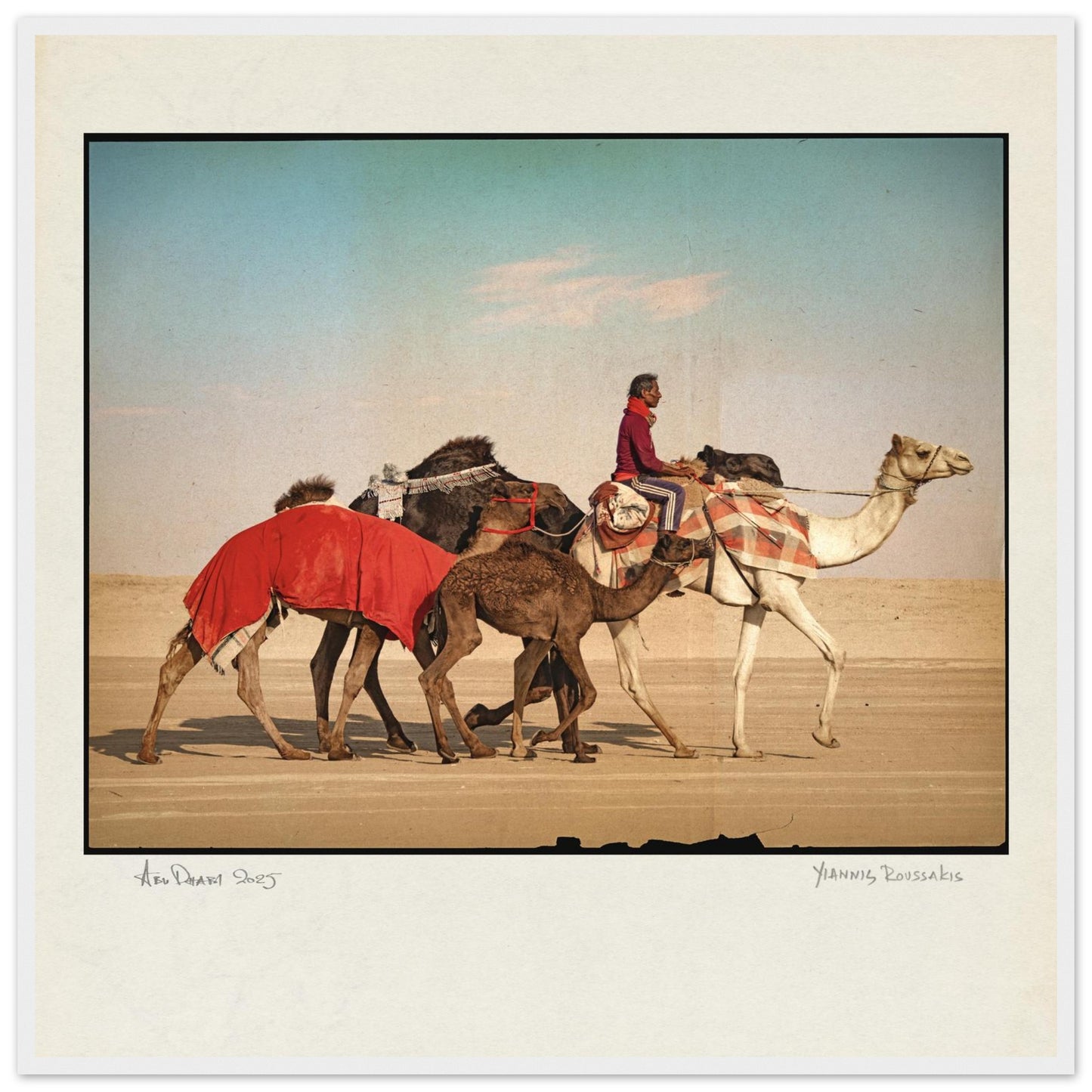 3896dca6-dd45-4281-b0fd-6308771e2972