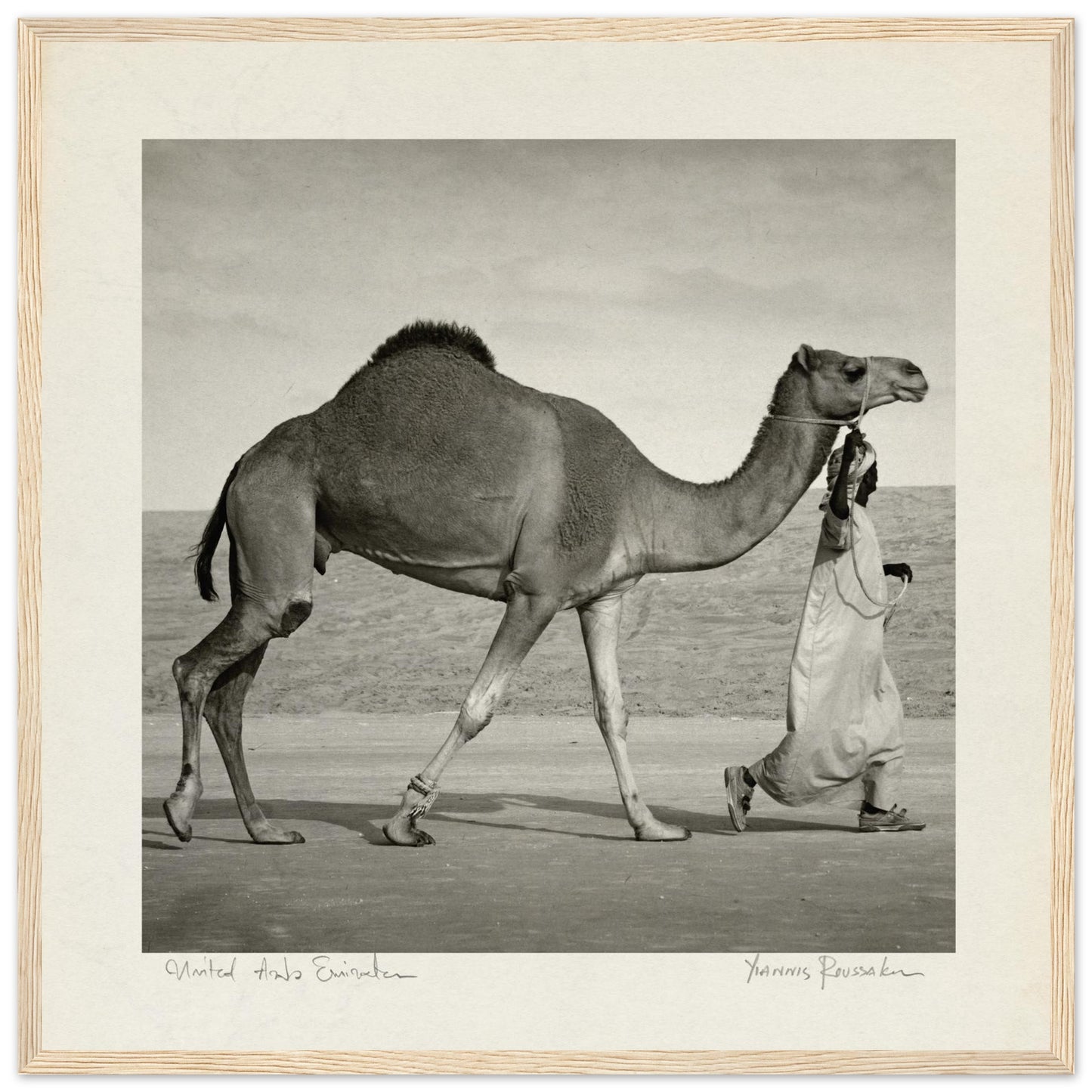 3b87938c-df20-407f-84f1-a97cedf5b260