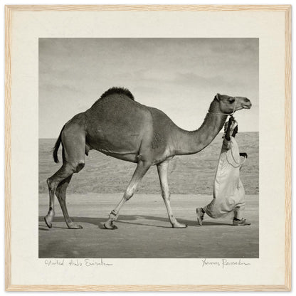 3b87938c-df20-407f-84f1-a97cedf5b260