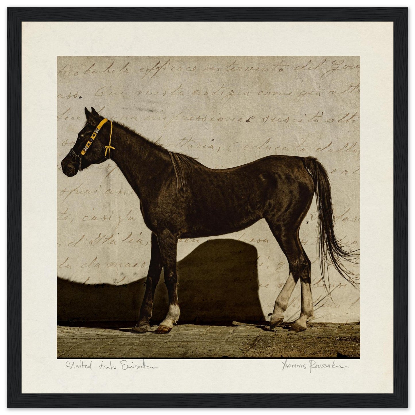 3bbaf0eb-5814-4193-9830-e73a7c1acffd