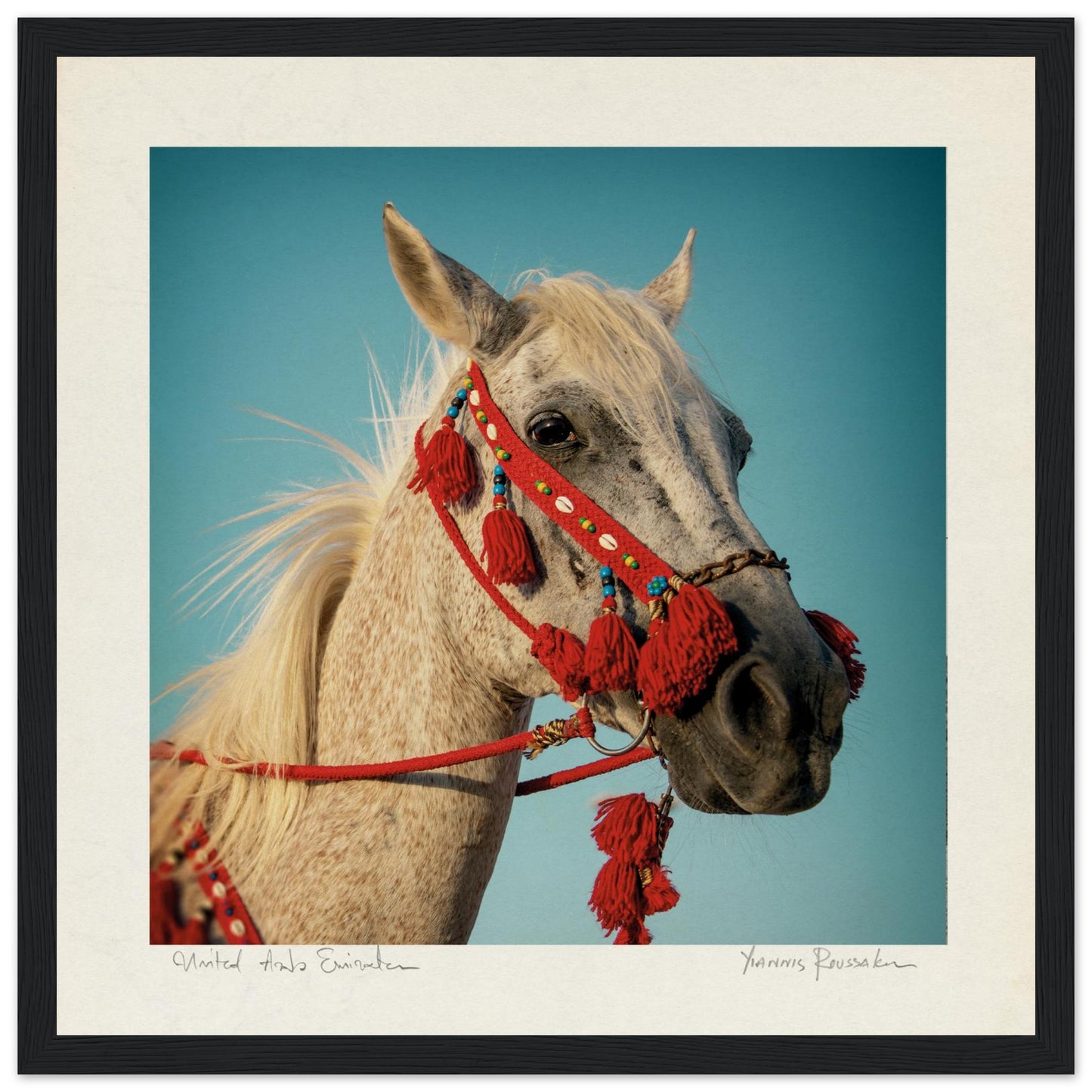 3d504991-14c8-4d57-bdc1-7332a44aa942