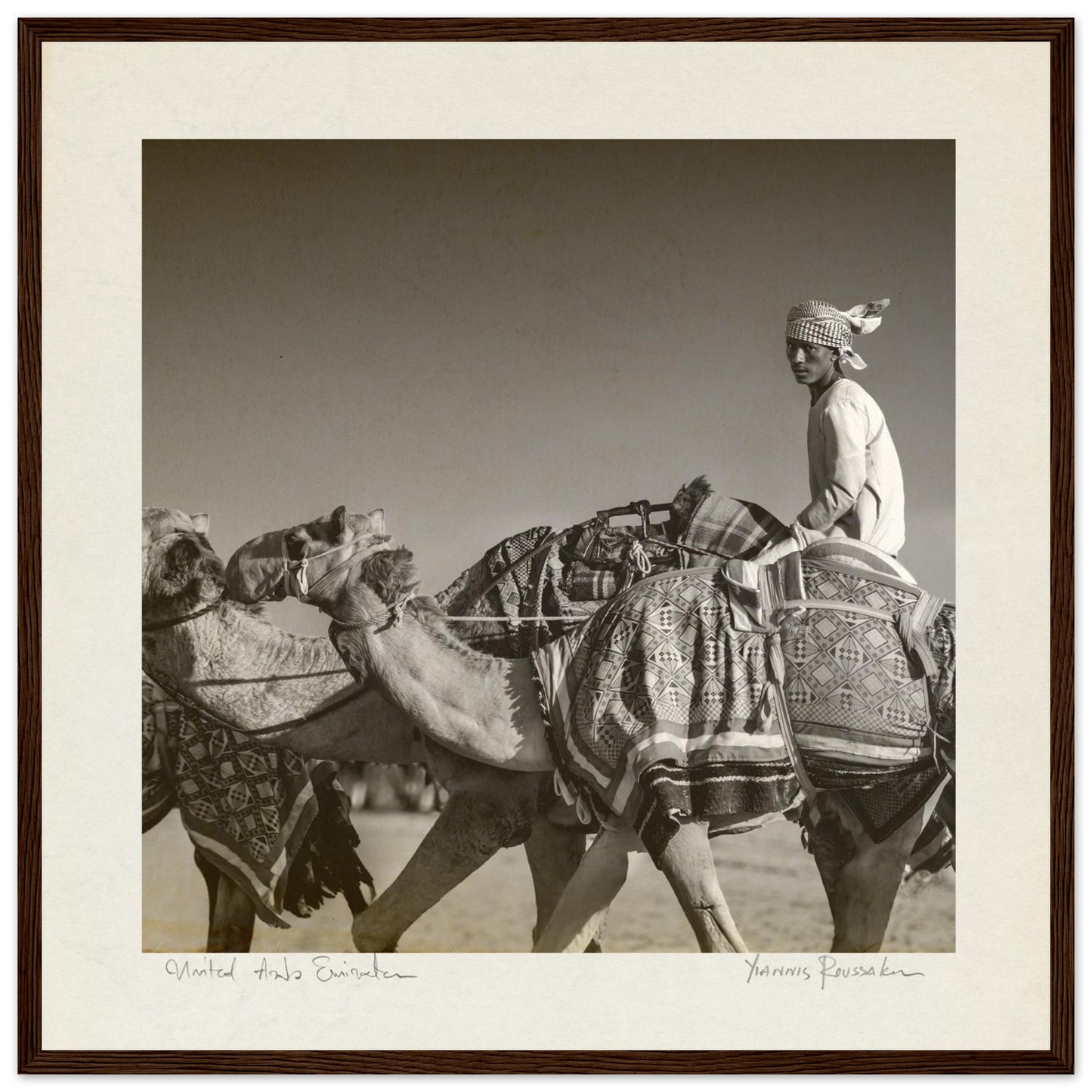 3e677011-1492-4b8c-950c-6c2ebc77abdd