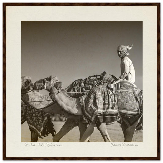 3e677011-1492-4b8c-950c-6c2ebc77abdd