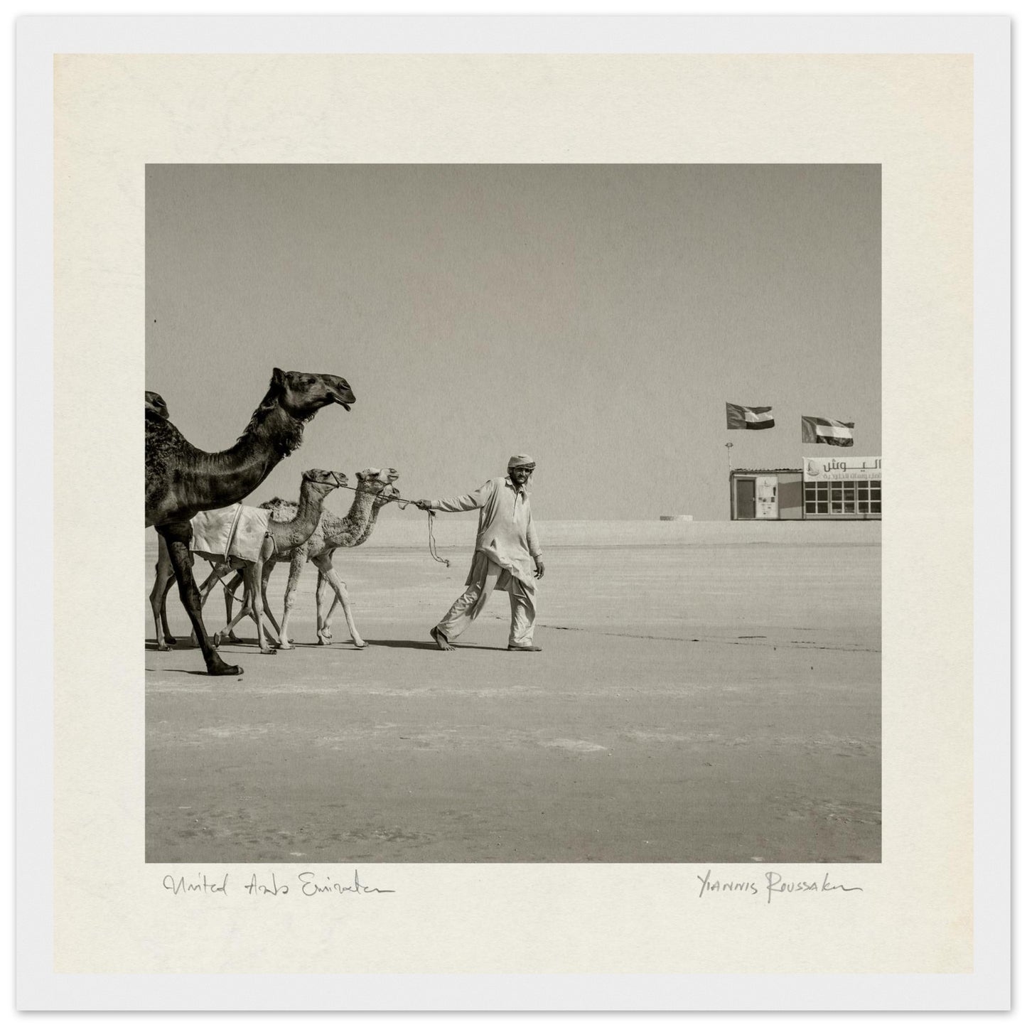 3ebf9fcc-cac6-474b-91da-77033966d68d