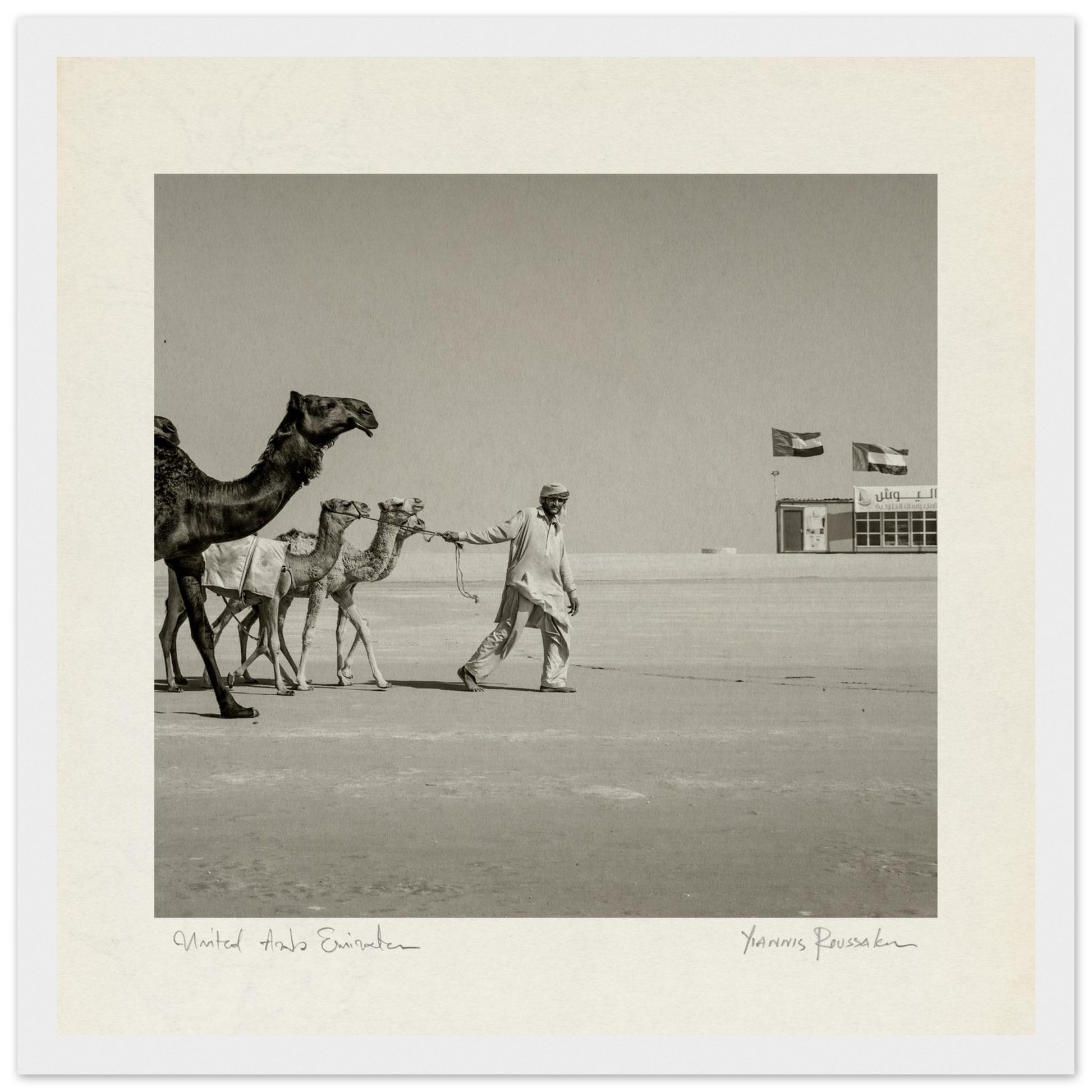 3ebf9fcc-cac6-474b-91da-77033966d68d