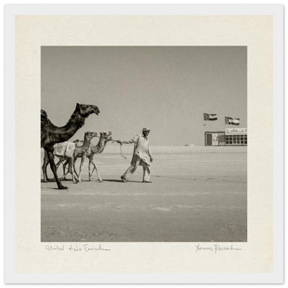 3ebf9fcc-cac6-474b-91da-77033966d68d