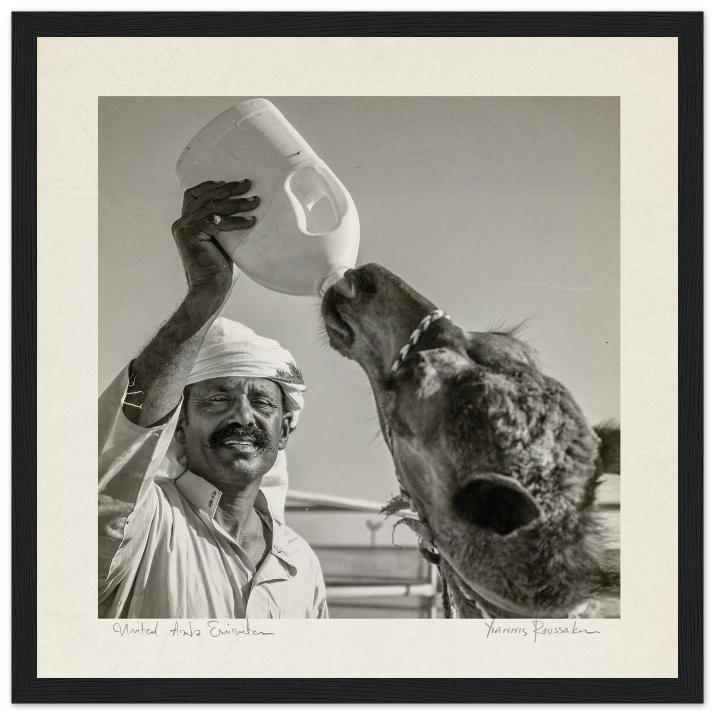 3fd72c1c-679f-43d1-bf5a-2640b66229e4