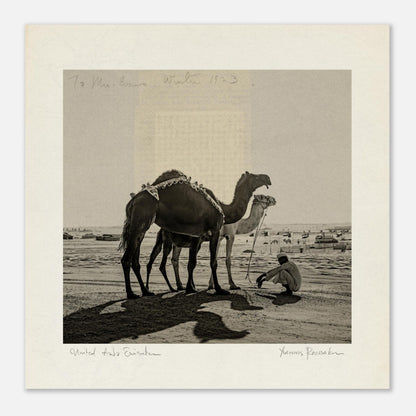 40af6763-a491-4f6e-8c55-451a38fa5592