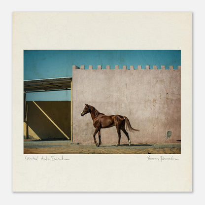 4156d02c-9cc4-4330-82d9-8207318c0819