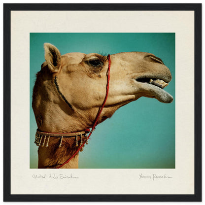 438985c6-f9e6-4f88-bf03-8443ae8e8519