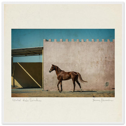 43c2708a-9119-46a8-9091-1bd49dda1603