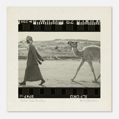 44f1e42f-3d83-4679-ae7f-6ea9317fe14d