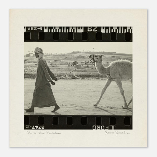 44f1e42f-3d83-4679-ae7f-6ea9317fe14d