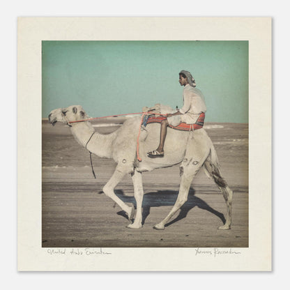 44f9d706-70be-4b4d-a1fc-ba79109403e4