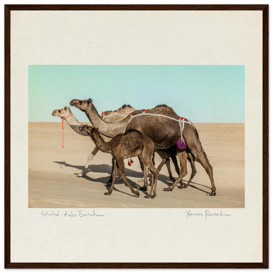 4542488b-1730-479b-bb38-7e14d08d5863