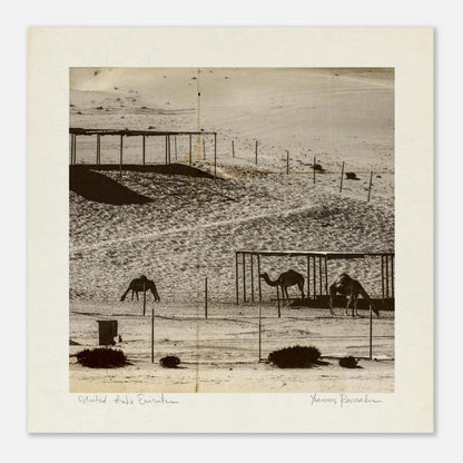 4661338c-dc5d-4818-978c-2a75233d2b6a