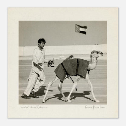 46ebd80f-f024-4c14-8d42-6ff67b04dc24