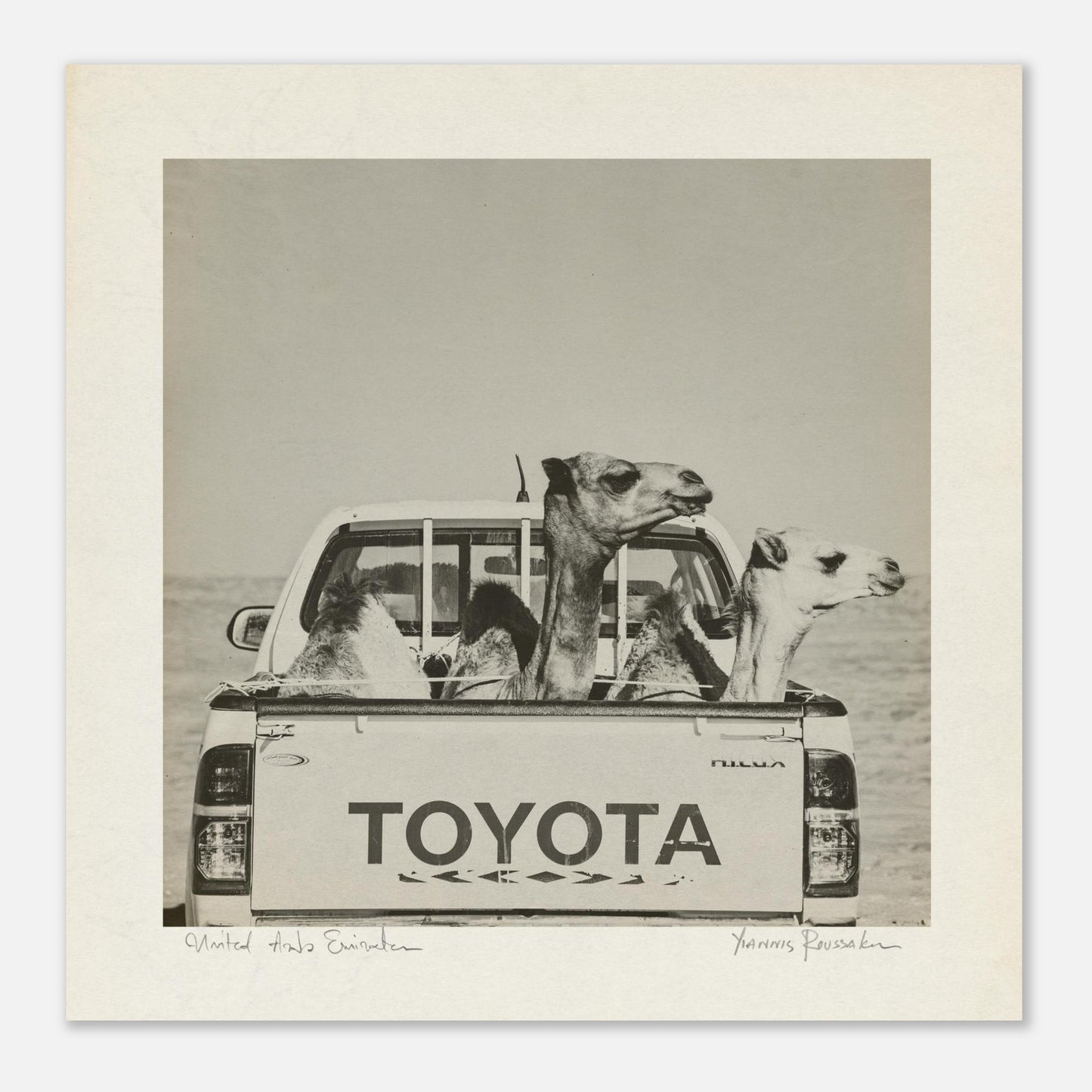 477c5adb-181e-4d1f-b0ef-7edcbb74d756