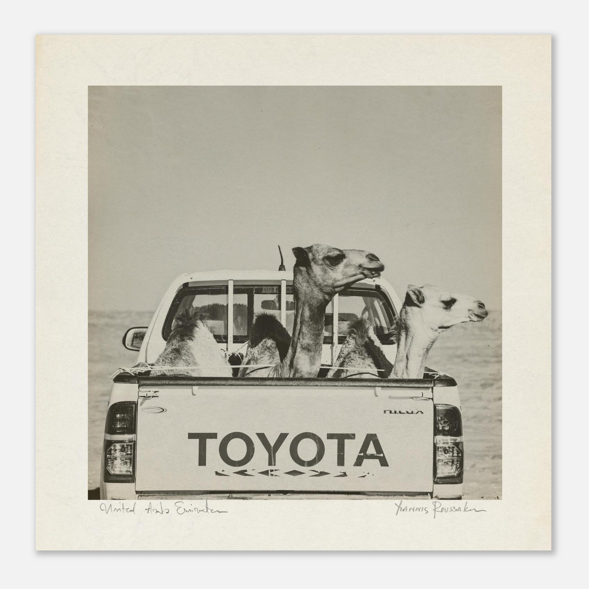 477c5adb-181e-4d1f-b0ef-7edcbb74d756