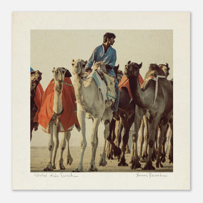 4a510216-8c81-4c5e-b621-8593d5ab2bd8