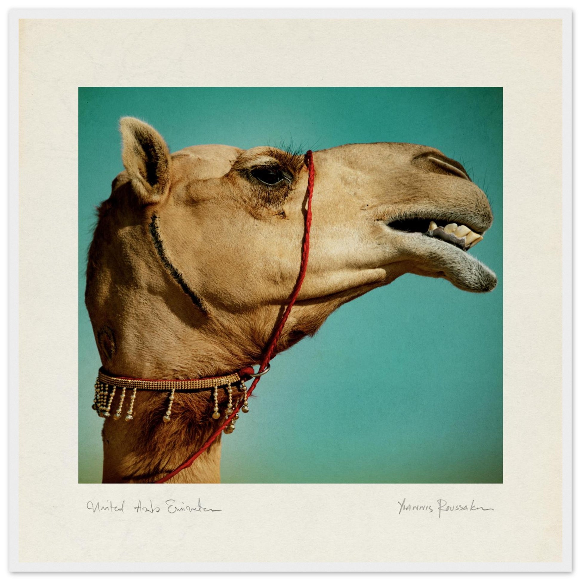 4a6ed7bb-04c9-4ed8-ab66-169772f1c81a