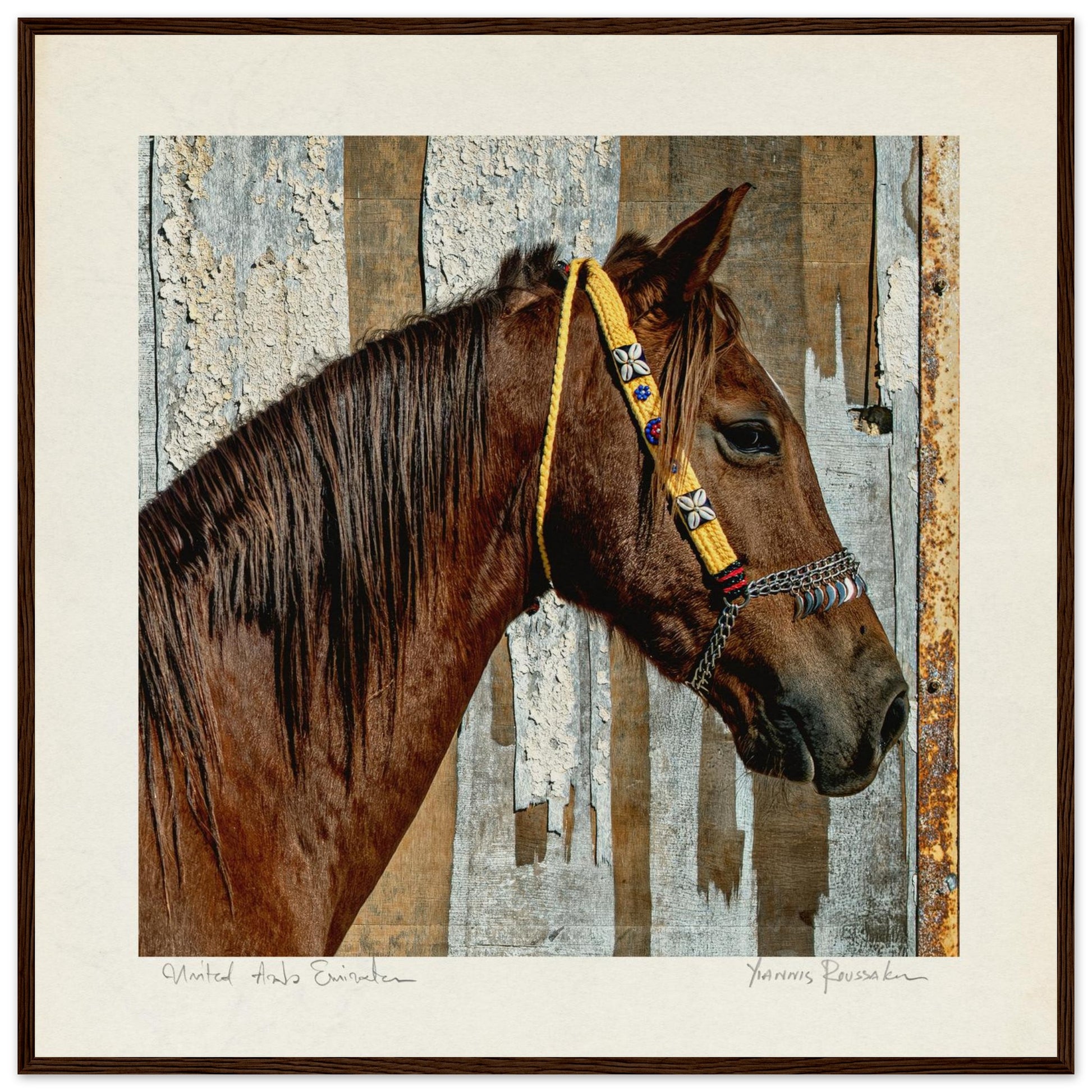 4aa5199e-588e-4beb-af53-939c562077df