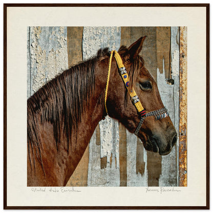 4aa5199e-588e-4beb-af53-939c562077df