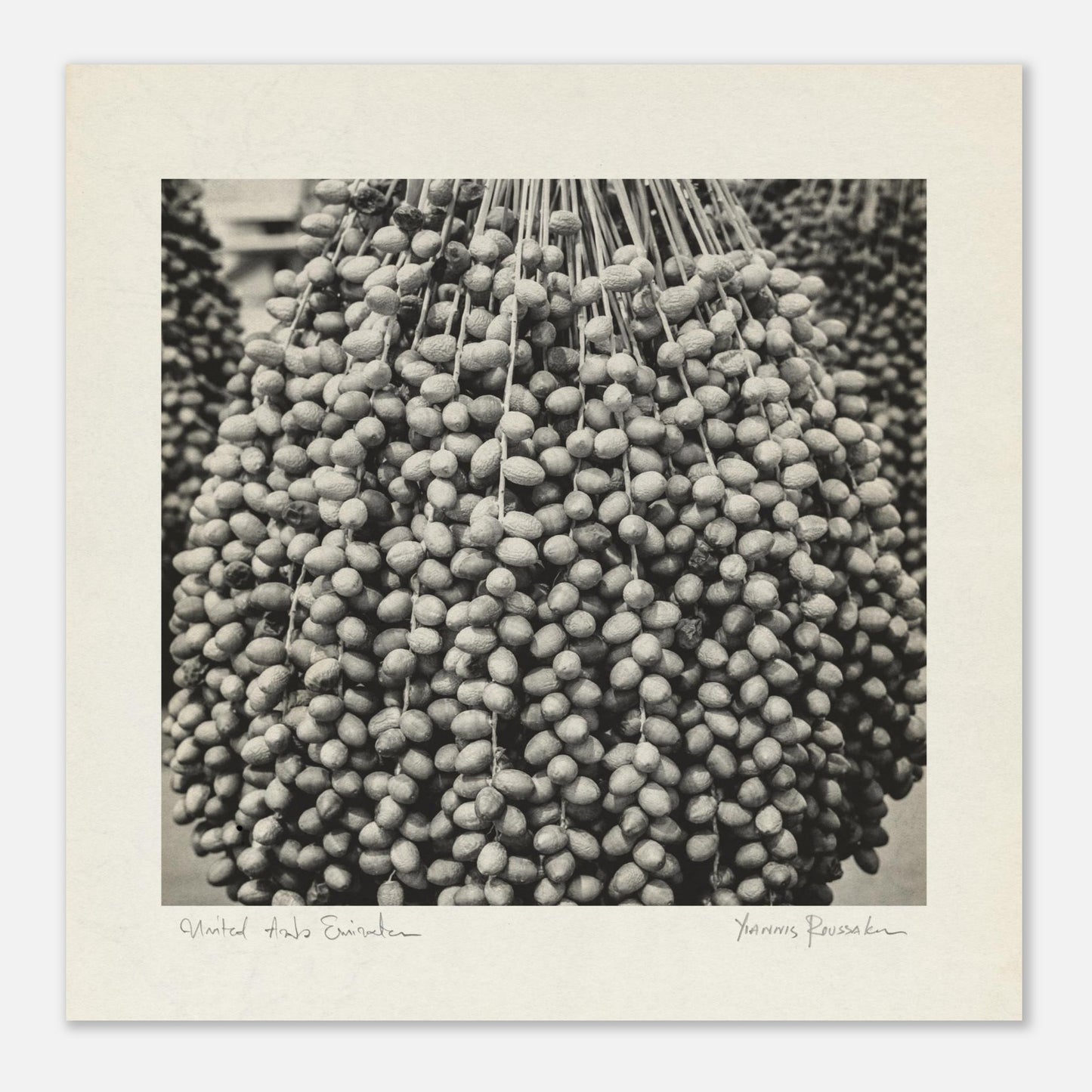 4b1fe086-9931-4ca1-827d-4888eacc7d34