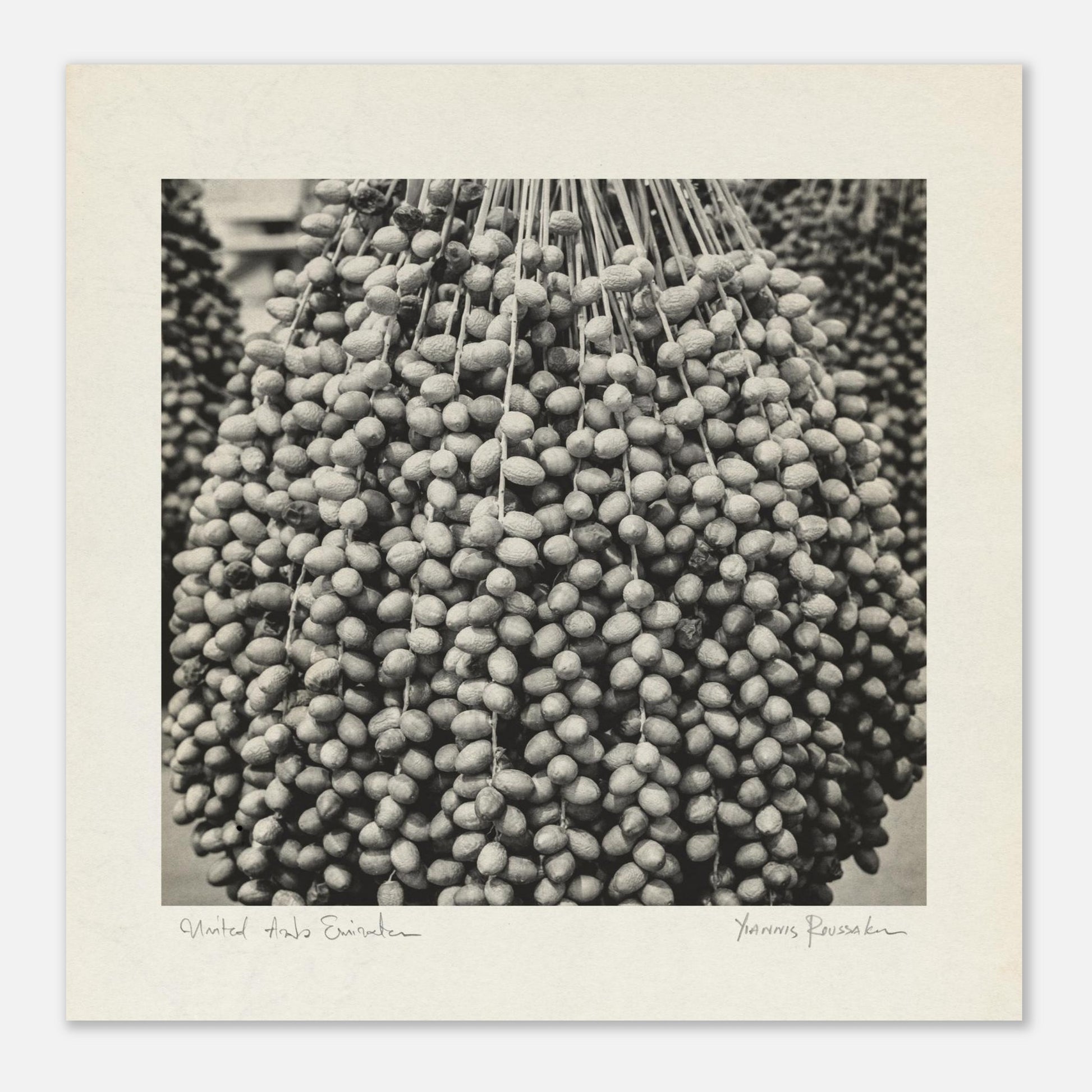 4b1fe086-9931-4ca1-827d-4888eacc7d34