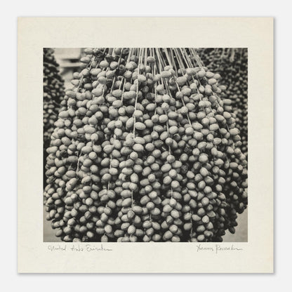 4b1fe086-9931-4ca1-827d-4888eacc7d34