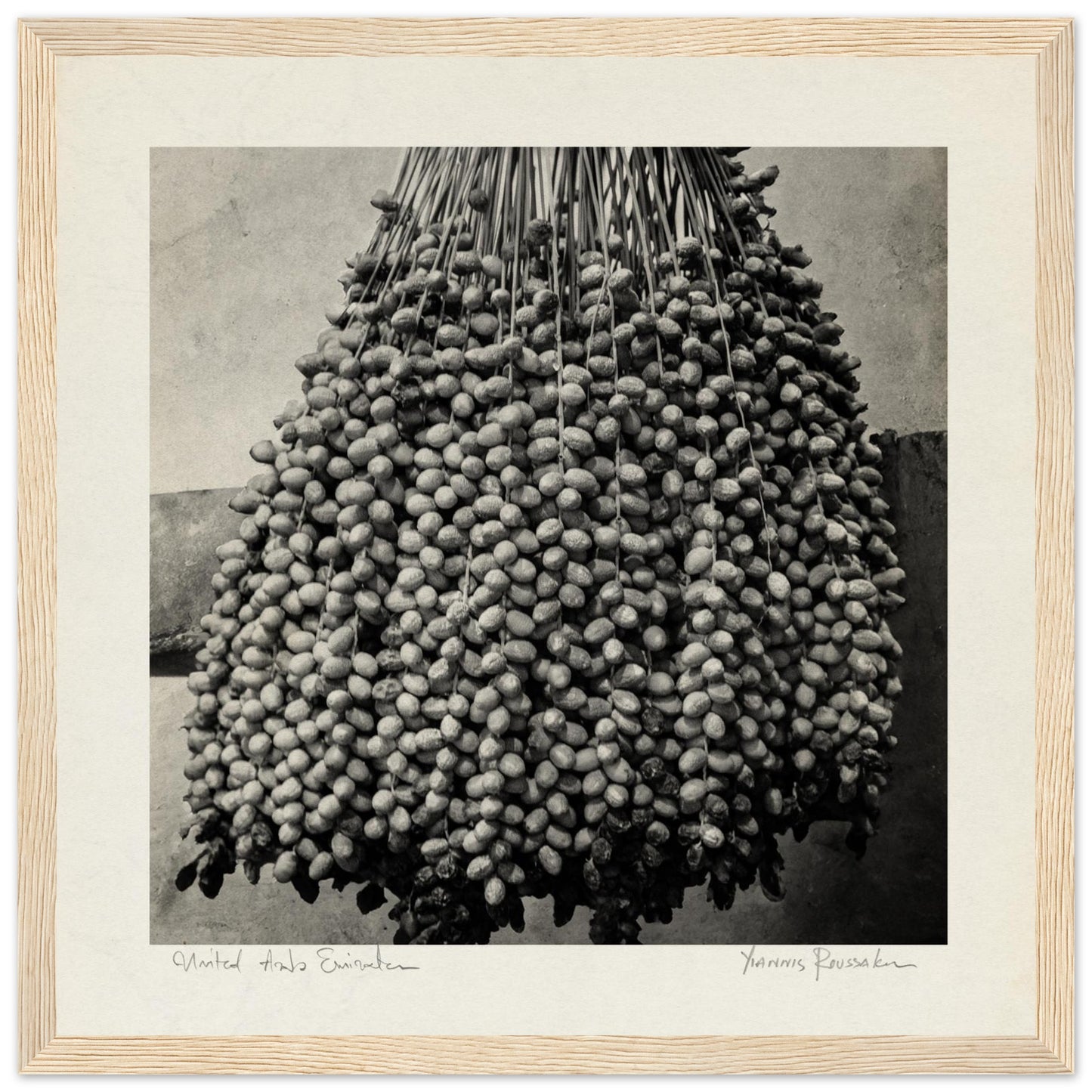 4bb9b85e-5d48-4bd2-b39a-94409fa9943b