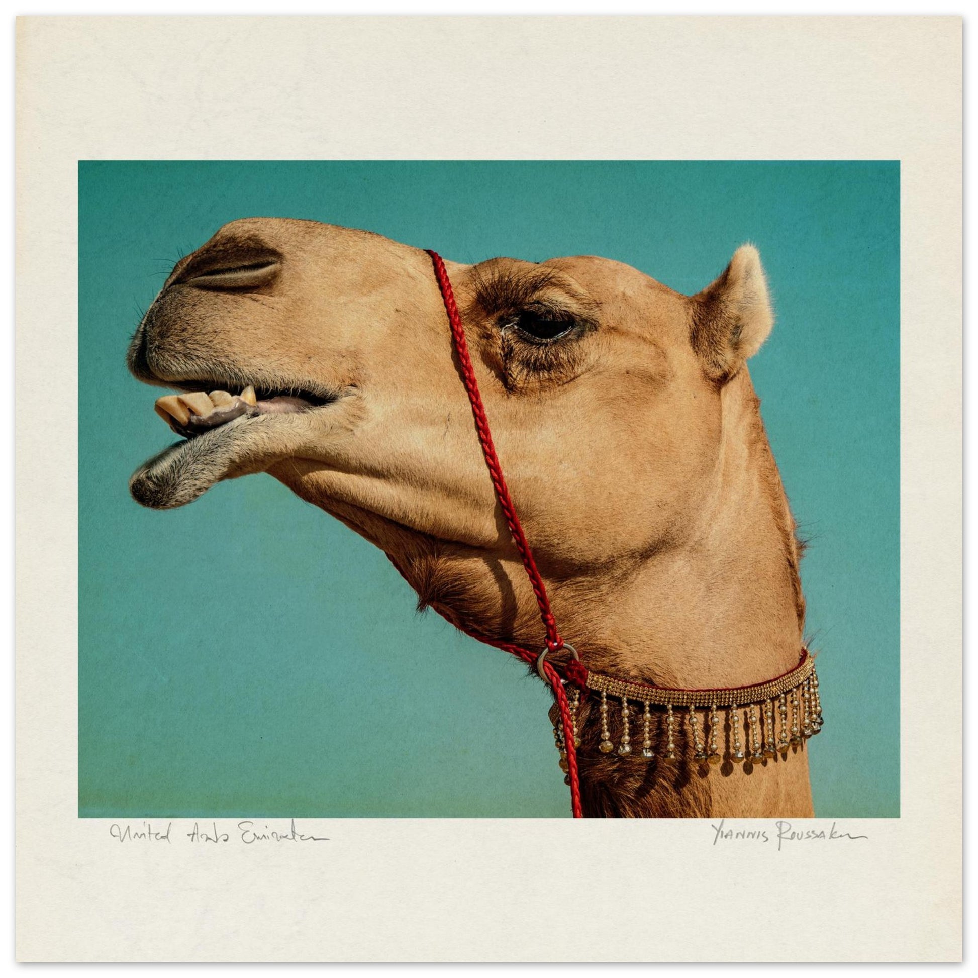 4d17c99e-92d7-4c3c-9621-1d331cdee257