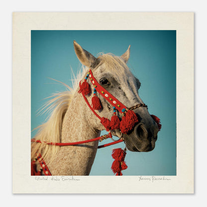 4d581a7a-1364-4202-87c7-a2a7618b3f71