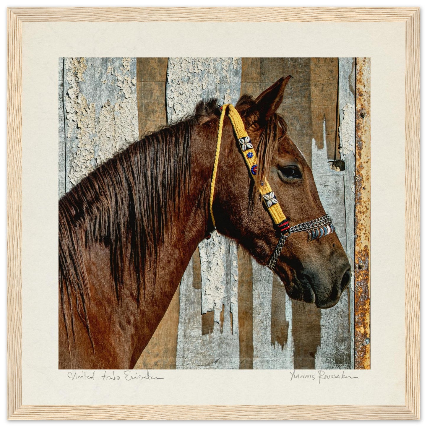 4d630da8-e12b-4a0e-add2-bdd820b078e0