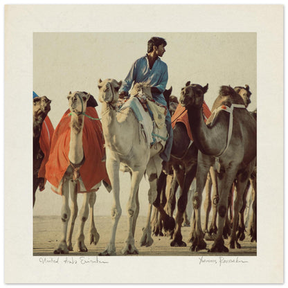 4dd3aa36-58ea-4636-a663-1b8bb104a52f