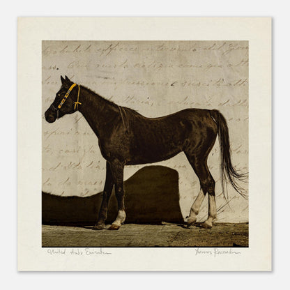 4dd69bfe-3b35-41f1-b1ec-e763d8e1a1e9