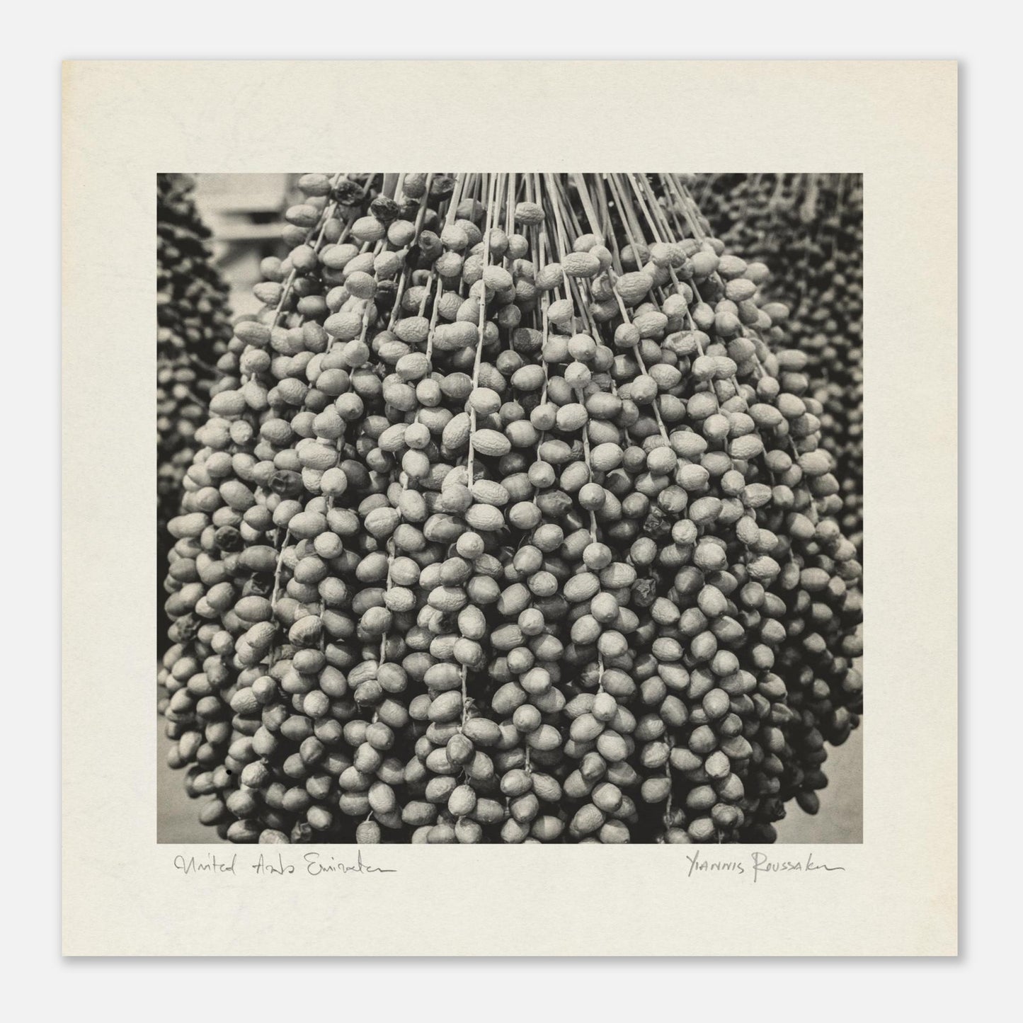 4e0e5966-3111-4815-984f-450a252ce62a