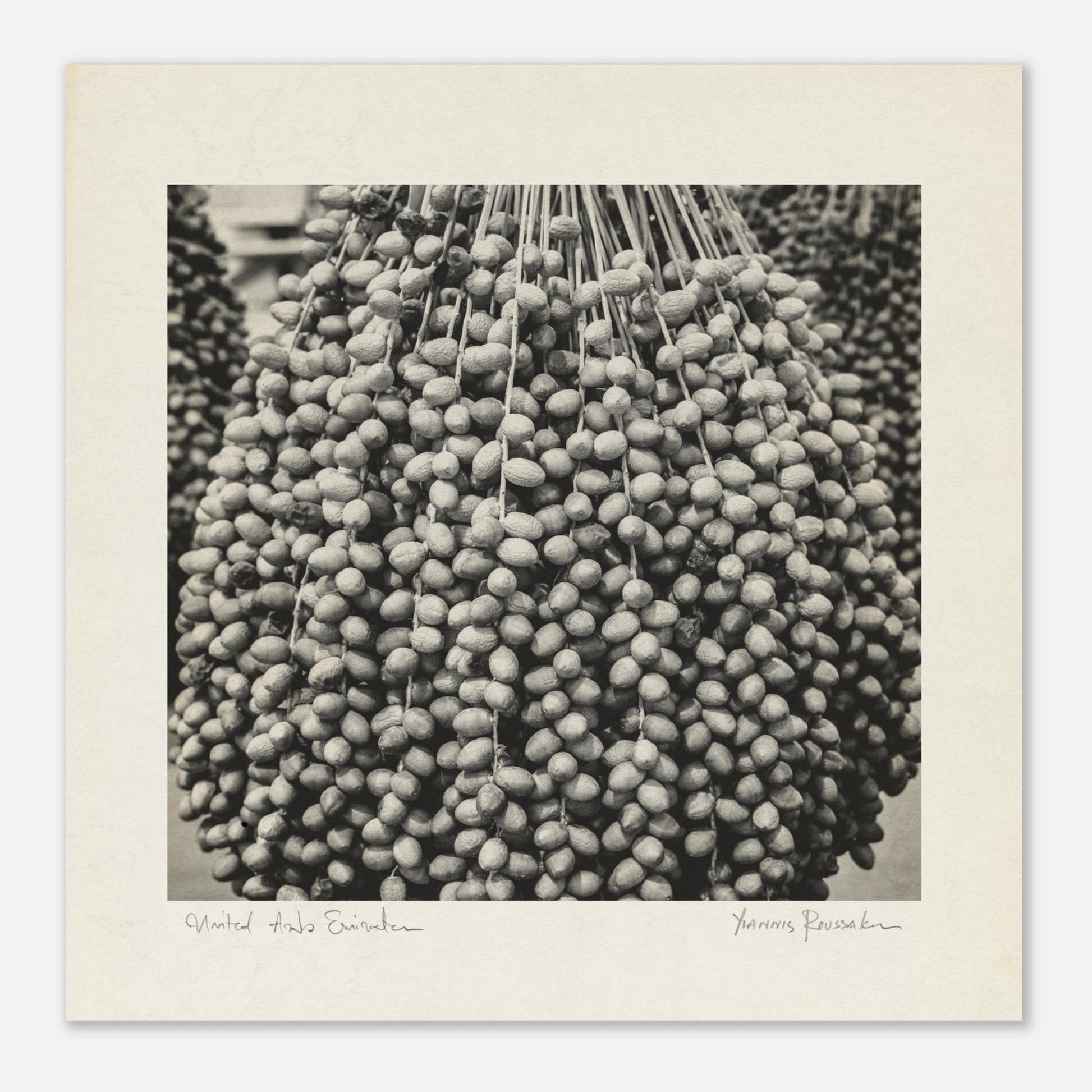 4e0e5966-3111-4815-984f-450a252ce62a