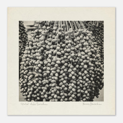 4e0e5966-3111-4815-984f-450a252ce62a