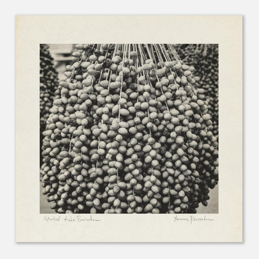 4e0e5966-3111-4815-984f-450a252ce62a