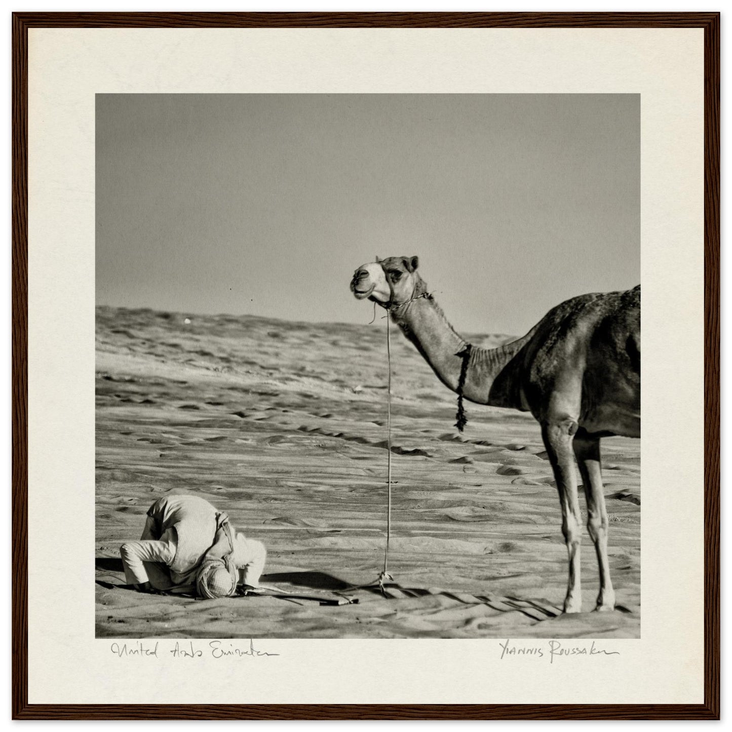 4e4651c4-1d4f-40c1-8823-c622c5cb2aac