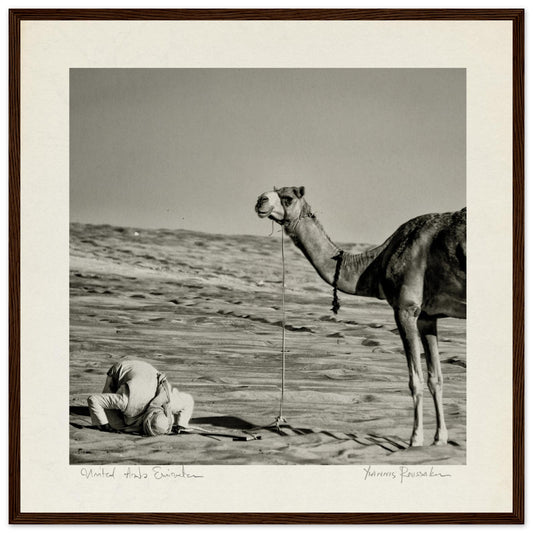 4e4651c4-1d4f-40c1-8823-c622c5cb2aac