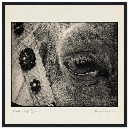 4ed201db-d9e4-4bda-baff-2b997aafe07a