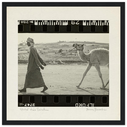 50d87d1e-af52-4d17-acb5-89c32d77f133