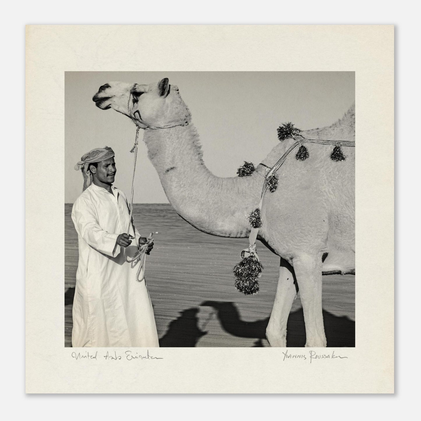 50e01d44-557d-4b17-a84c-806499400cc0