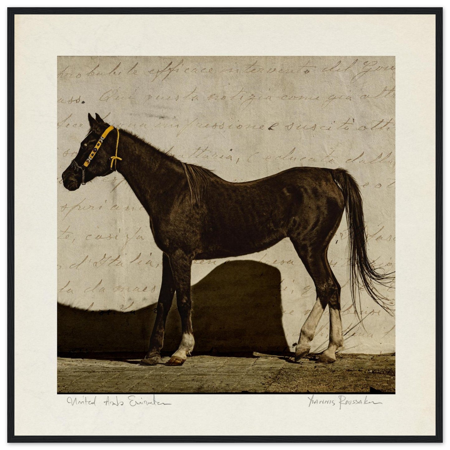 50f3e1fc-c762-4e64-9a95-898cd263f3eb