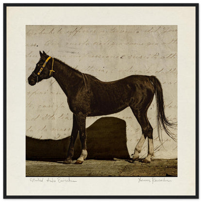 50f3e1fc-c762-4e64-9a95-898cd263f3eb