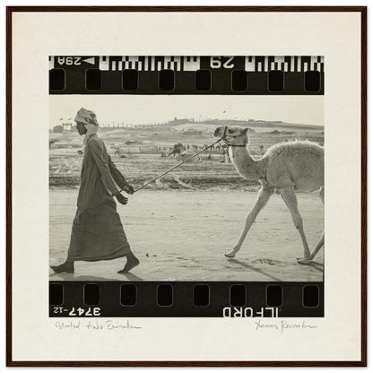 519817dc-8345-46df-ae95-46d220ecff1e